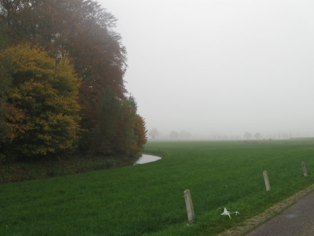 img_4560.jpg