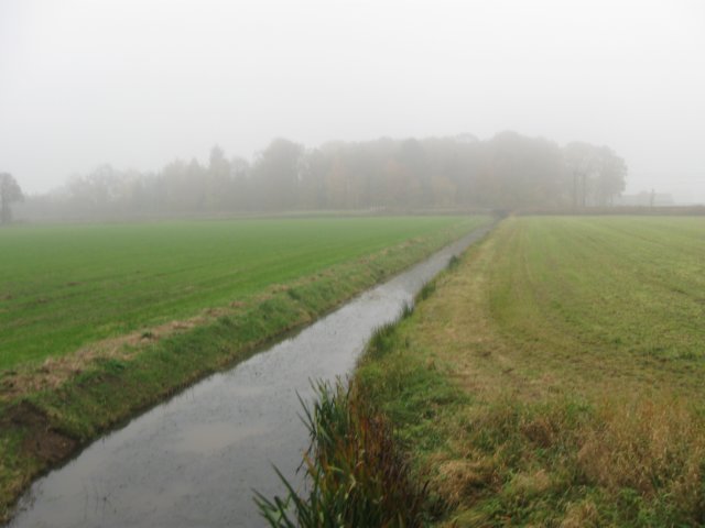 img_4564.jpg