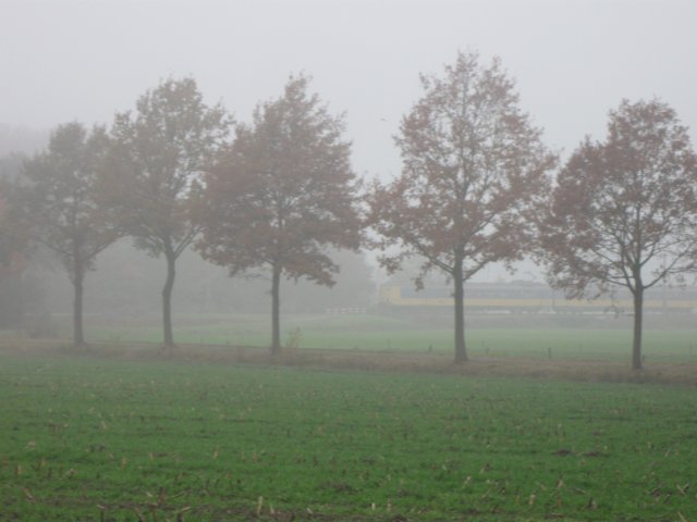 img_4565.jpg