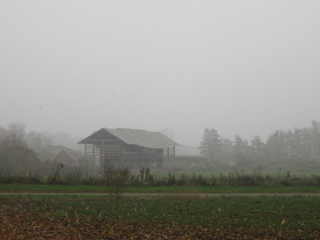 img_4570.jpg
