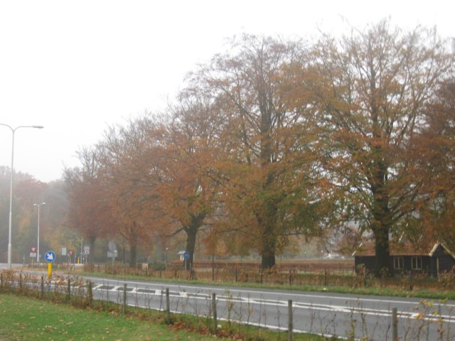 img_4571.jpg