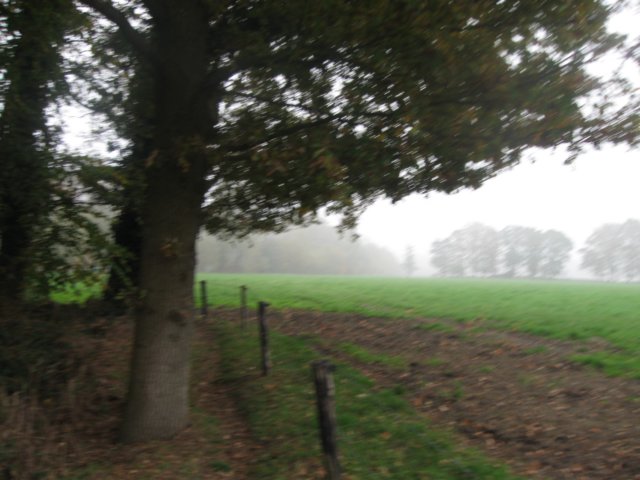 img_4593.jpg