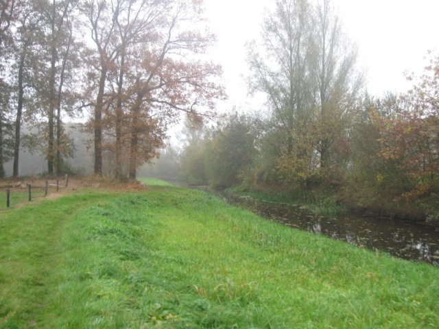 img_4595.jpg