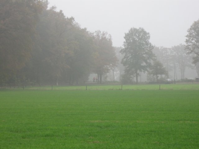 img_4598.jpg