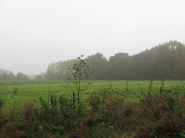 img_4605.jpg