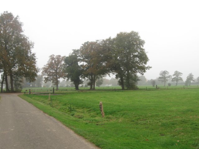 img_4621.jpg