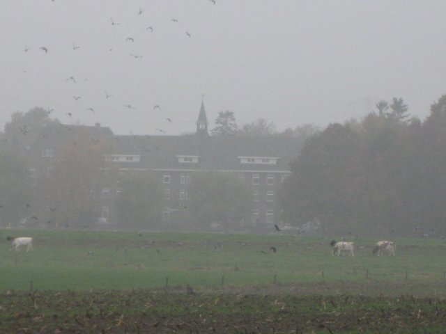 img_4630.jpg