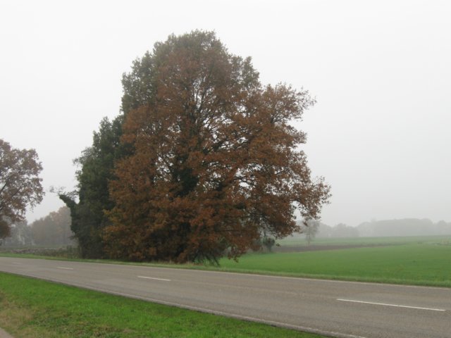 img_4635.jpg