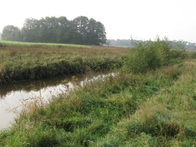 img_8846.jpg
