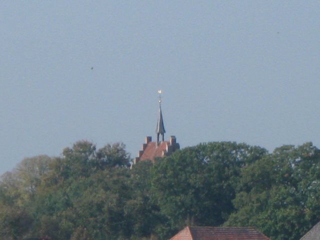 img_8903.jpg