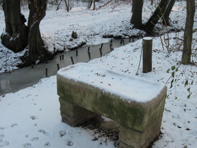 img_9176.jpg
