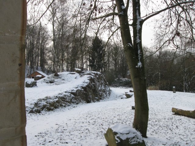 img_9207.jpg
