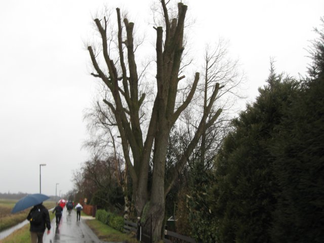 img_6082.jpg