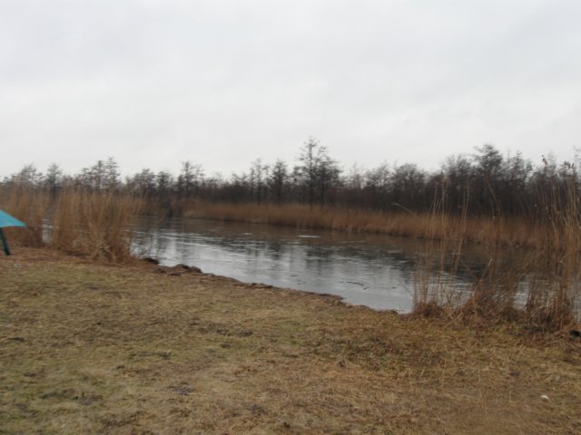img_6101.jpg