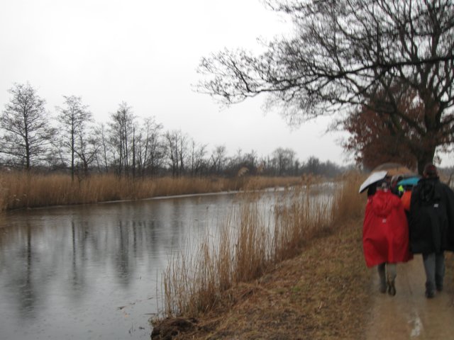 img_6106.jpg