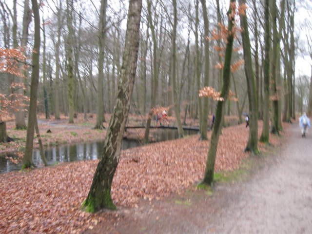 img_6202.jpg
