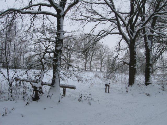 img_9253.jpg