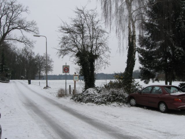 img_5334.jpg