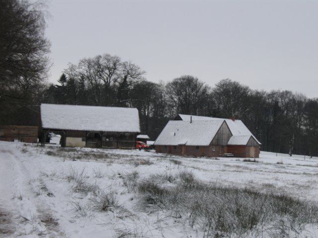 img_5336.jpg