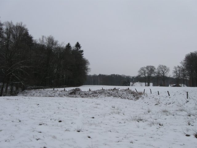 img_5337.jpg