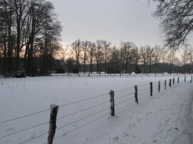 img_5338.jpg