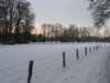 img_5338_small.jpg