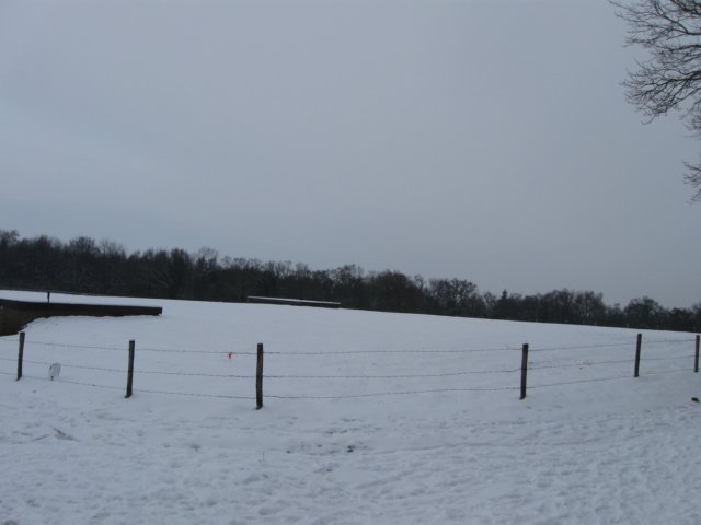 img_5339.jpg