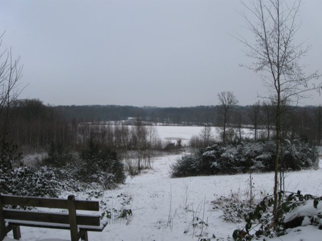 img_5342.jpg