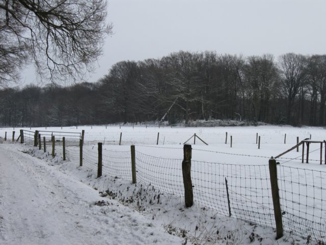 img_5345.jpg