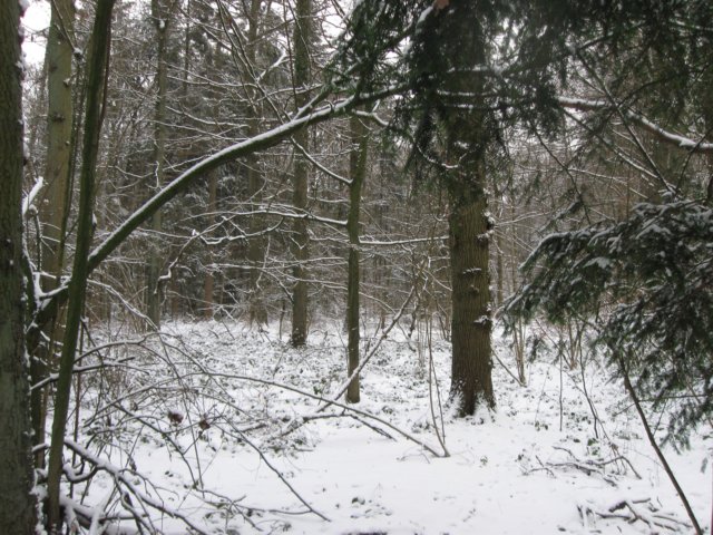 img_5347.jpg