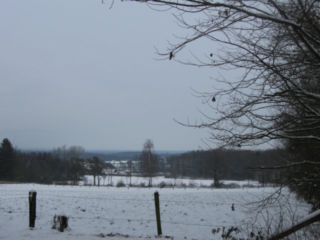 img_5354.jpg