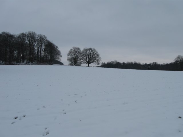 img_5362.jpg