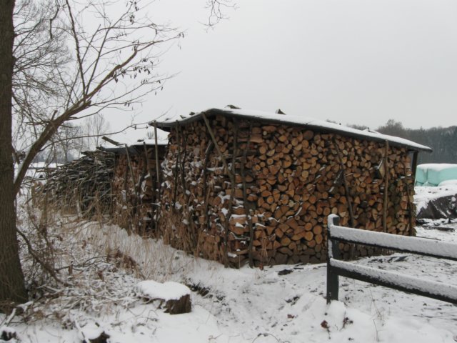 img_5395.jpg