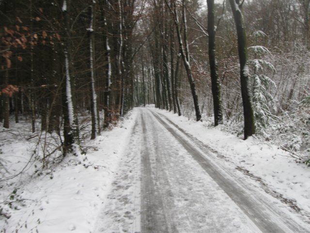 img_5397.jpg