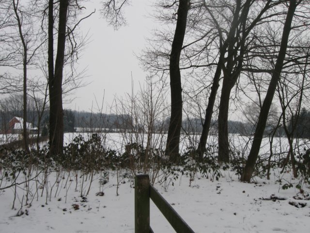 img_5401.jpg