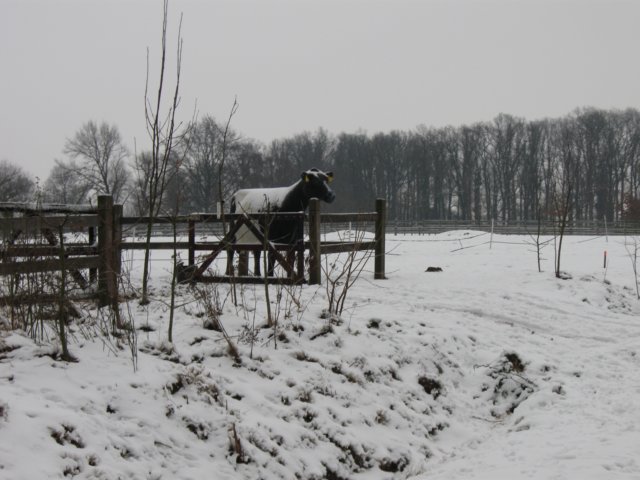 img_5409.jpg