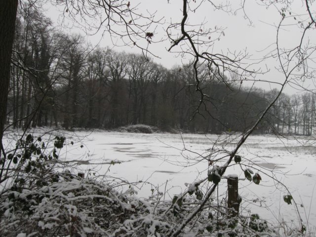 img_5413.jpg