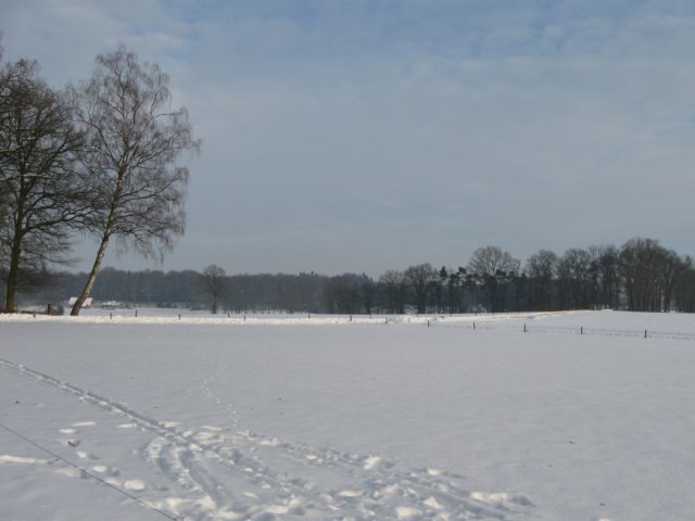 img_9323.jpg