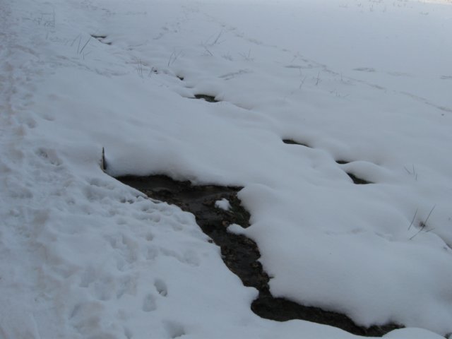 img_9325.jpg