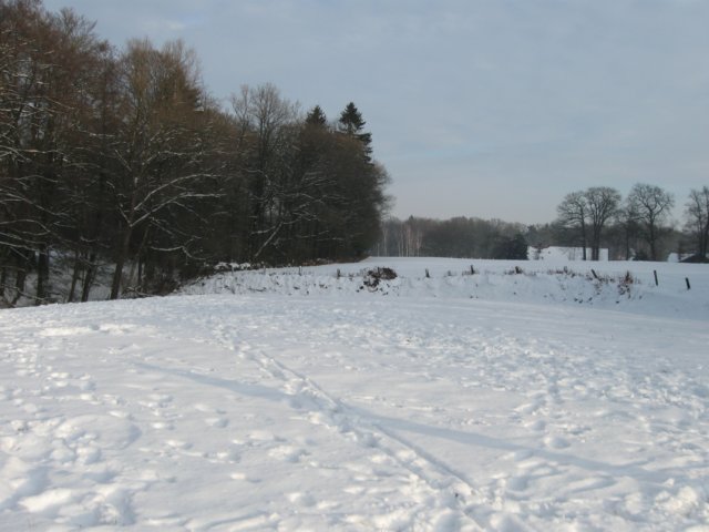 img_9328.jpg