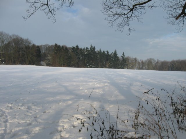 img_9329.jpg