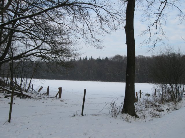 img_9340.jpg