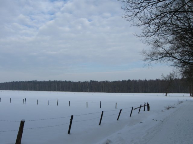 img_9354.jpg