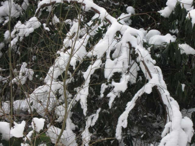 img_9356.jpg