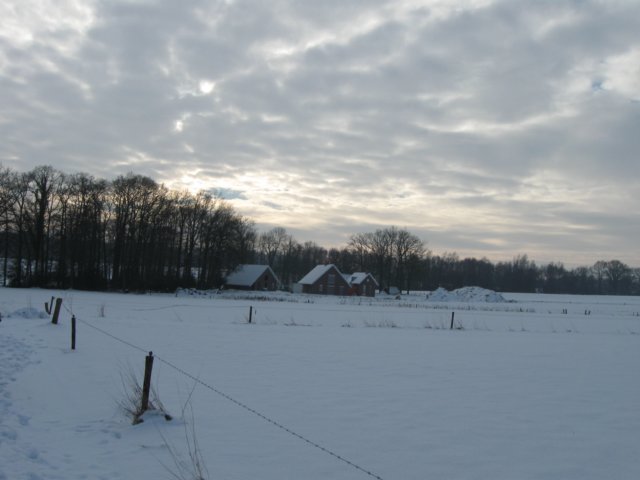 img_9361.jpg
