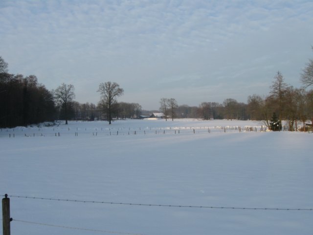 img_9385.jpg