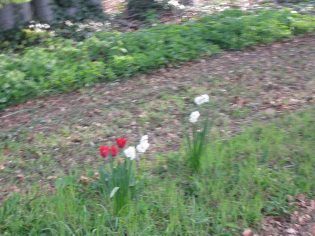 img_7372.jpg