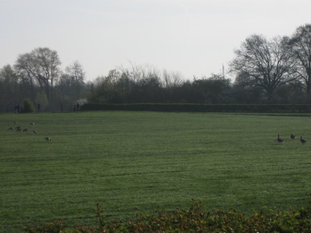 img_7375.jpg