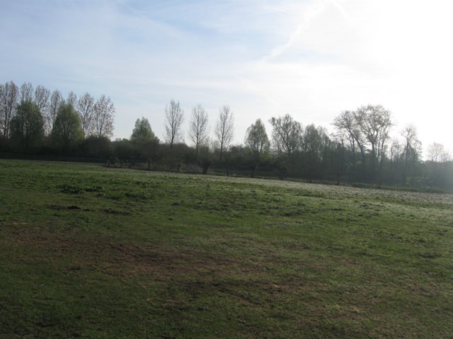 img_7377.jpg