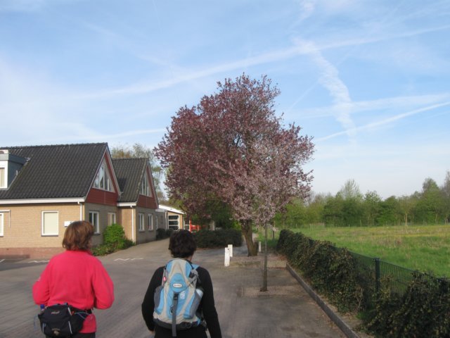 img_7383.jpg